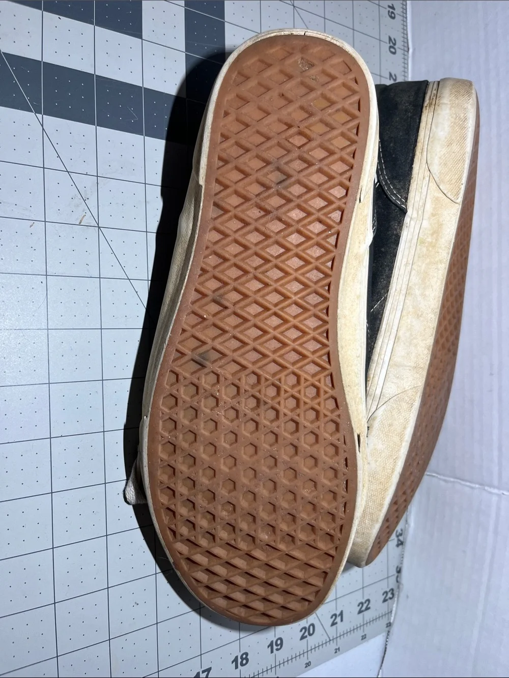 Vans Black and White Low-Top Skate Sneakers